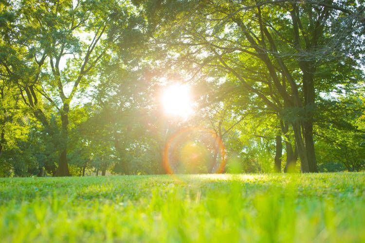 Poche nubi e niente neve, sarà ancora caldo anomalo: le previsioni meteo - 123RF