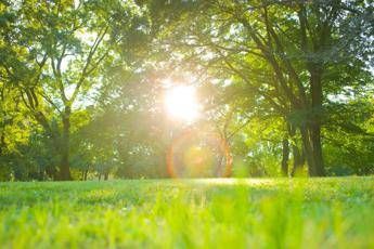 Caldo Sole Parco 123rf Immagine in aggiornamento