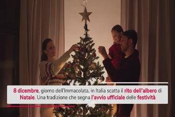 8 dicembre, scatta il rito dell'albero di Natale