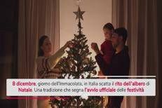 8 dicembre, scatta il rito dell'albero di Natale