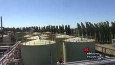 GRINS: l'economia circolare un'opportunità per le imprese italiane