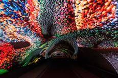 DAG –Digital Art Gallery - Fabrice Gallina