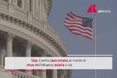 Aviaria, identificato negli Usa primo caso umano al mondo di virus H5N5