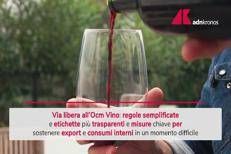 Ocm Vino, via libera Ue: semplificazioni ed etichette più chiare