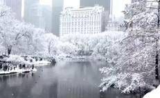 La neve avvolge New York, Central Park è come una favola: il video