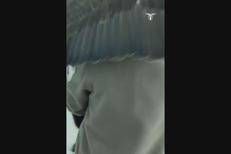 Flaminia sarebbe pronta al debutto: il primo volo all'Olimpico per la sfida tra Lazio e Cremonese - Video