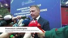 Imprese: ministro Lollobrigida, 'Mercosur? Occorre reciprocità su garanzie prodotti'