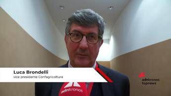 Imprese: Brondelli (Confagricoltura), 'Ambasciata primo anello di promozione Made in Italy'