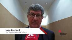 Imprese: Brondelli (Confagricoltura), 'Ambasciata primo anello di promozione Made in Italy'