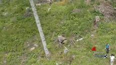 Ambiente: Sanpellegrino, 'interventi su 51 ettari di bosco in Alta Valtellina dopo tempesta Vaia'