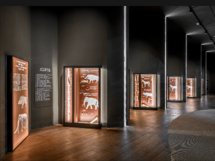 grotta guattari 7 comm