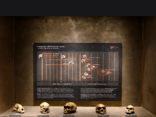 grotta guattari comm 5.jpg