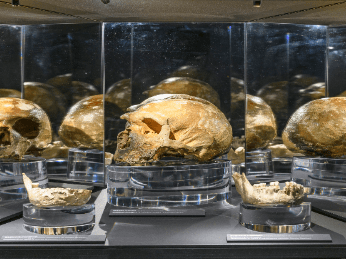 grotta guattari comm 4