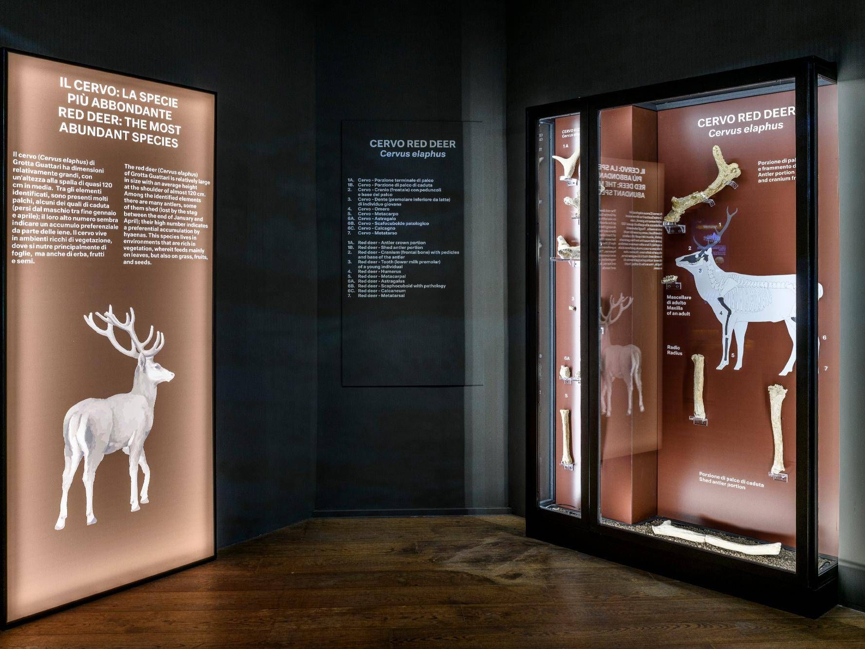 grotta guattari comm 3