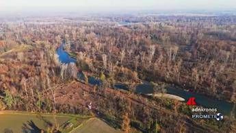 Isola dell'Ochetta, al via il progetto di rigenerazione ecologica