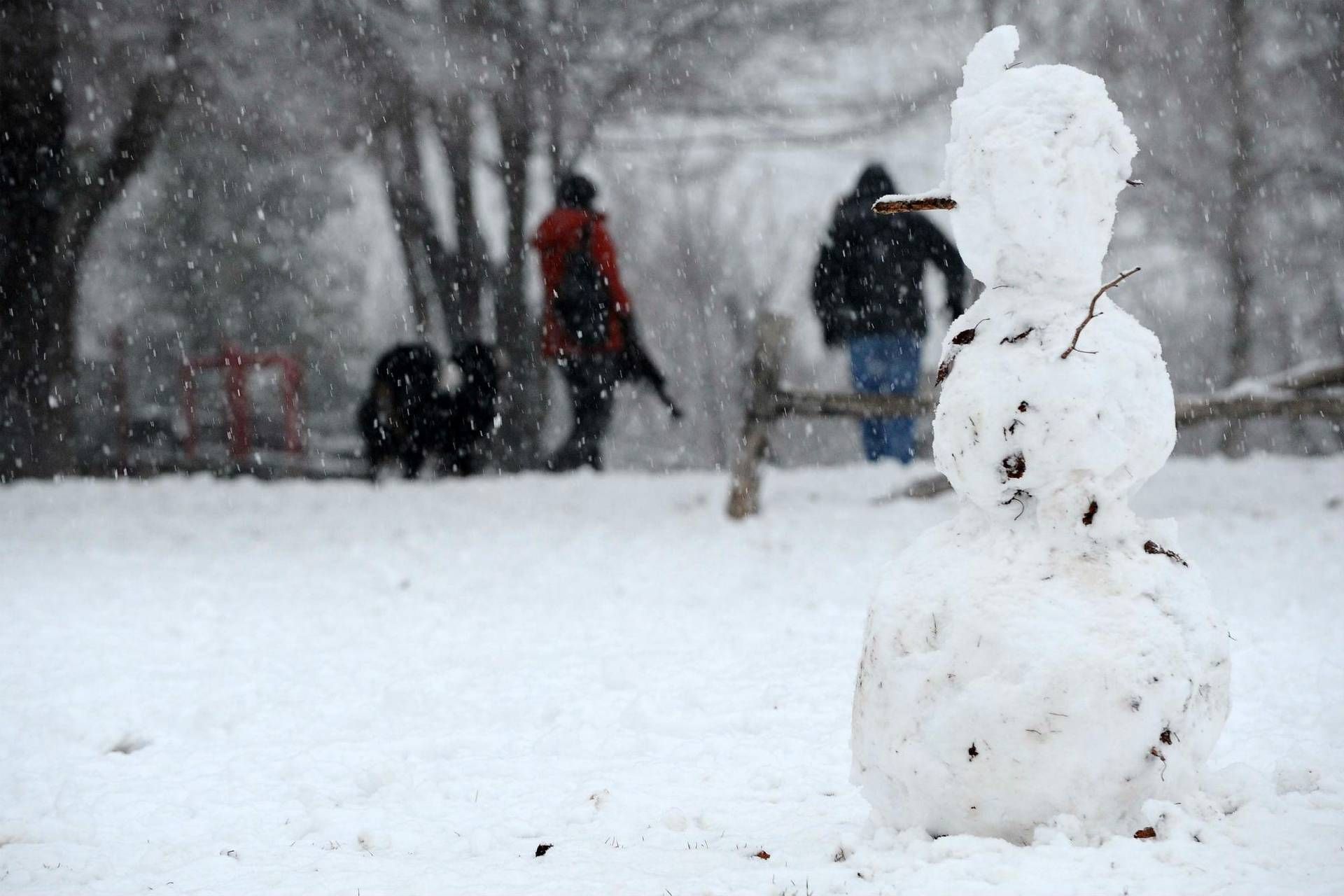 Meteo, neve in arrivo sull'Italia: a Natale passerà anche un ciclone