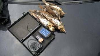 Sequestro operazione Racall 2024