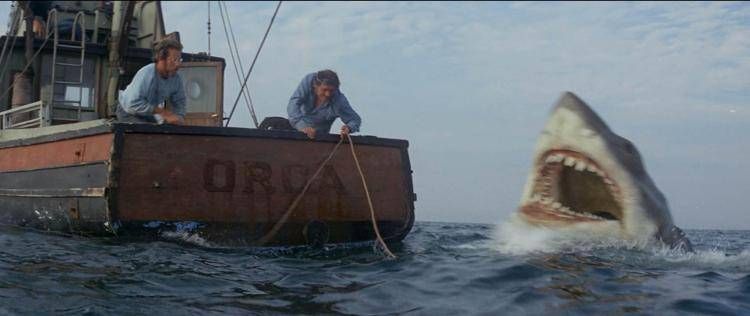'Lo squalo', all'asta l'arpione e la canna da pesca del film di Spielberg