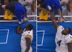 Metcalf colpisce il tifoso