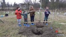 KilometroVerdeParma raggiunge i 100mila alberi
