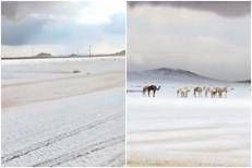 Neve in Arabia Saudita - X