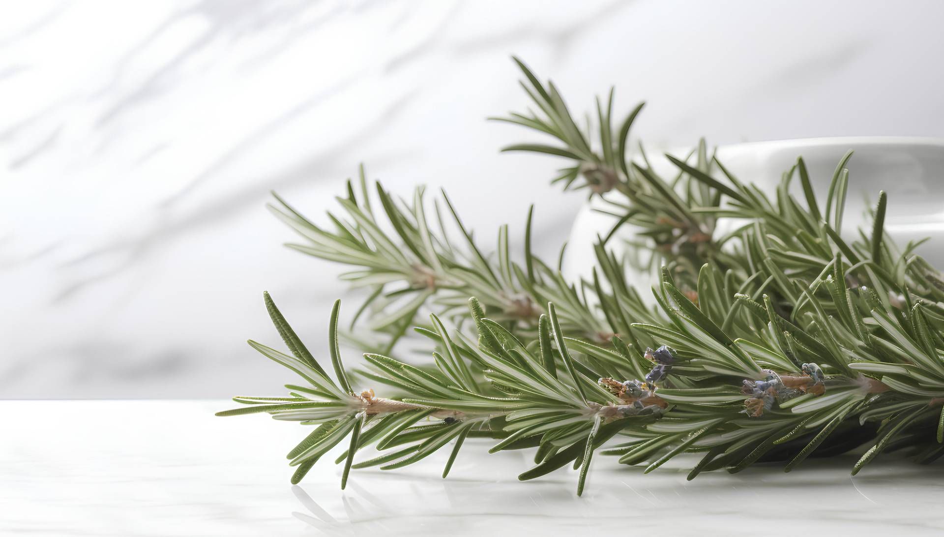 Buccia di limone, basilico e rosmarino: perché farli bollire e le proprietà 'segrete'