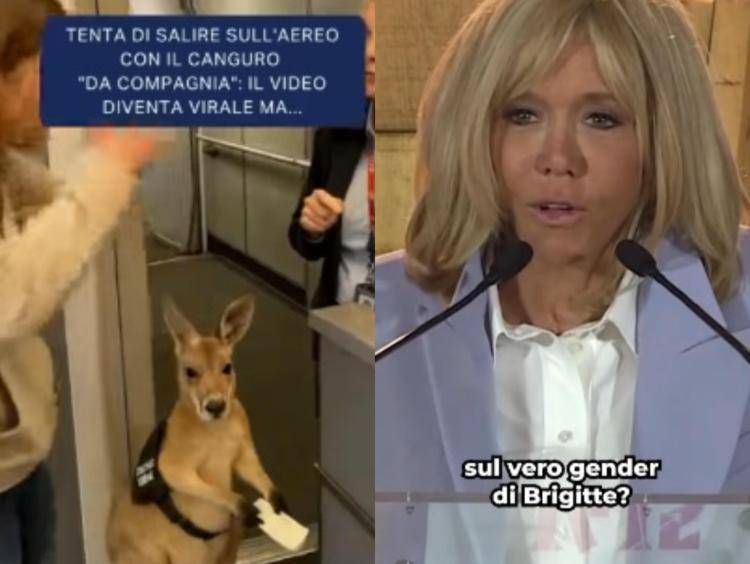 Il canguro e Brigitte Macron