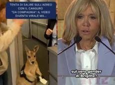 Il canguro e Brigitte Macron