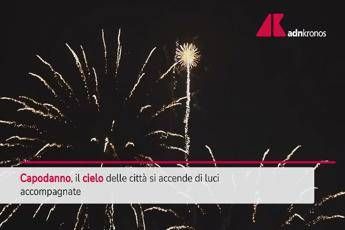 Fuochi d'artificio e botti, l'appello della comunità scientifica: 
