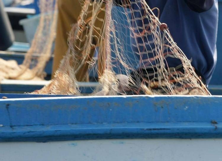 Un pescatore con la rete (Ipa)