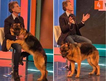 Coccia Cane Immagine in aggiornamento