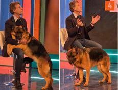 Coccìa con un pastore tedesco