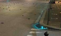 Capodanno, strage di uccelli a Roma ma la foto sui social è un fake