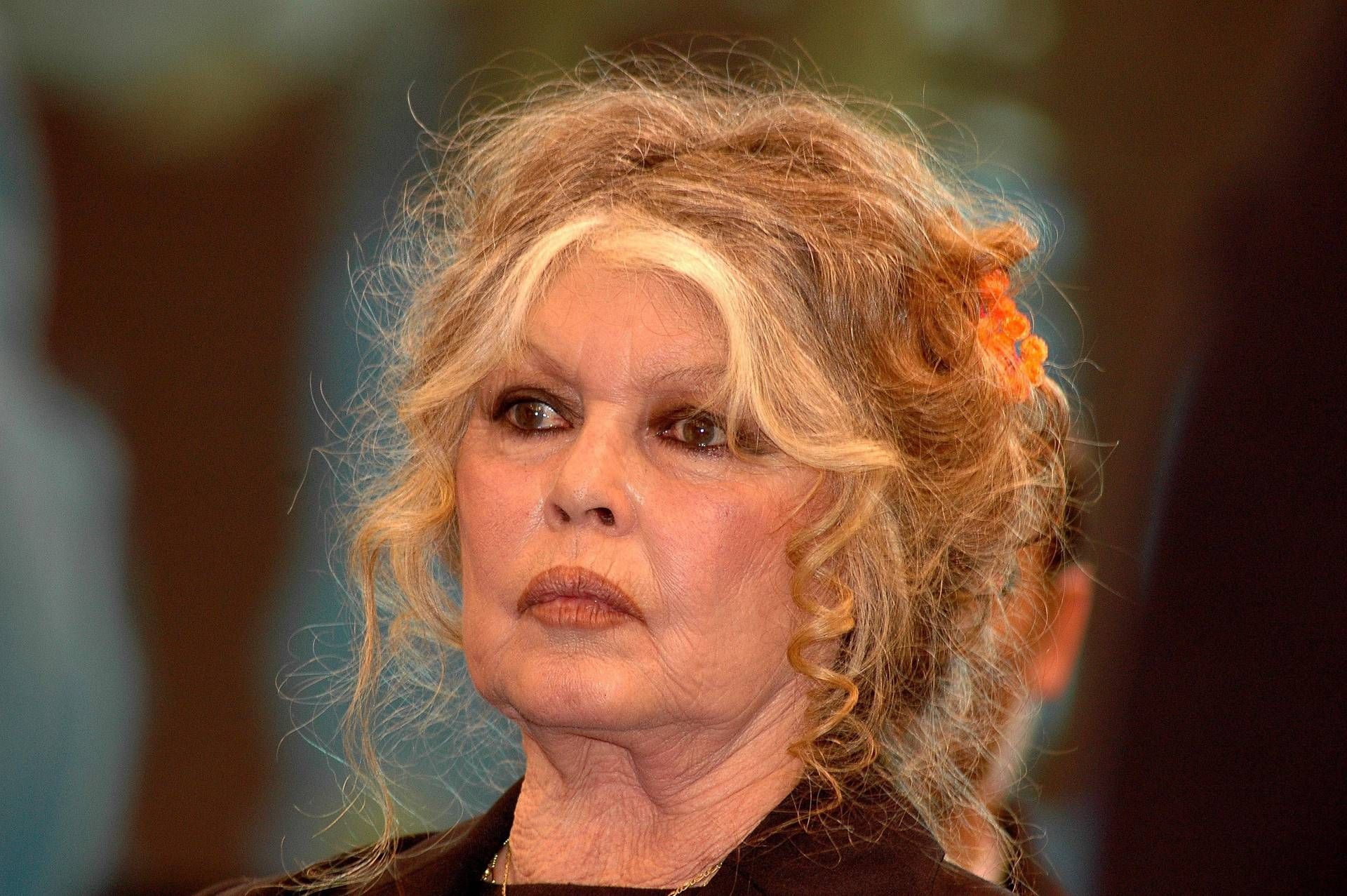 Brigitte Bardot, il marito: "BB morta per un tumore"