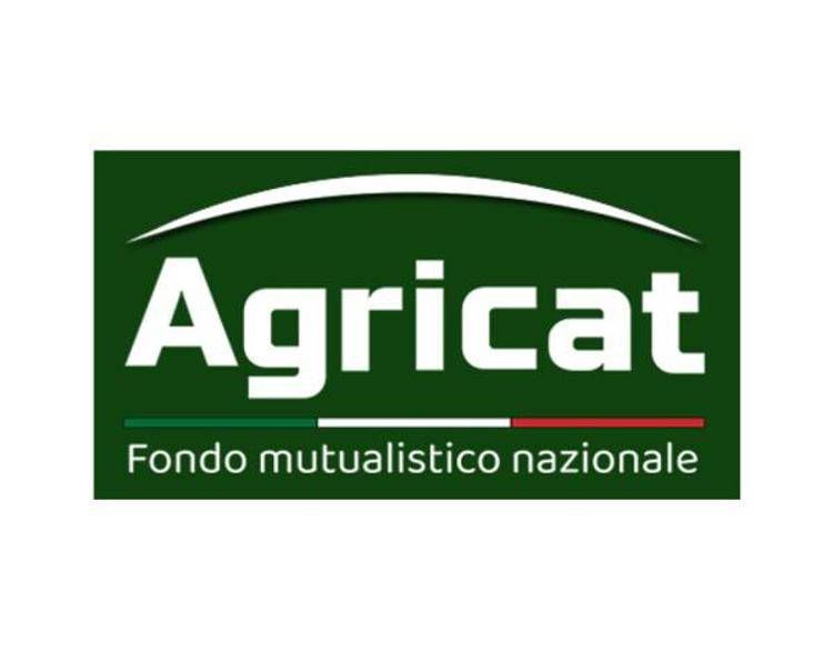 AgriCat 2026: al via le denunce di sinistro precompilate e digitali