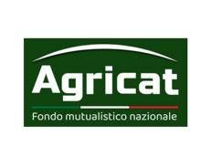 AgriCat 2026: al via le denunce di sinistro precompilate e digitali