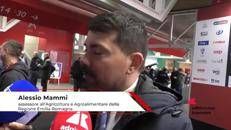 Imprese: ass. Mammi (Emilia Romagna), 'Marca può rafforzare dimensione e collaborazione filiere'