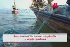 Pesca, è crisi nera per le vongole nell’Alto Adriatico