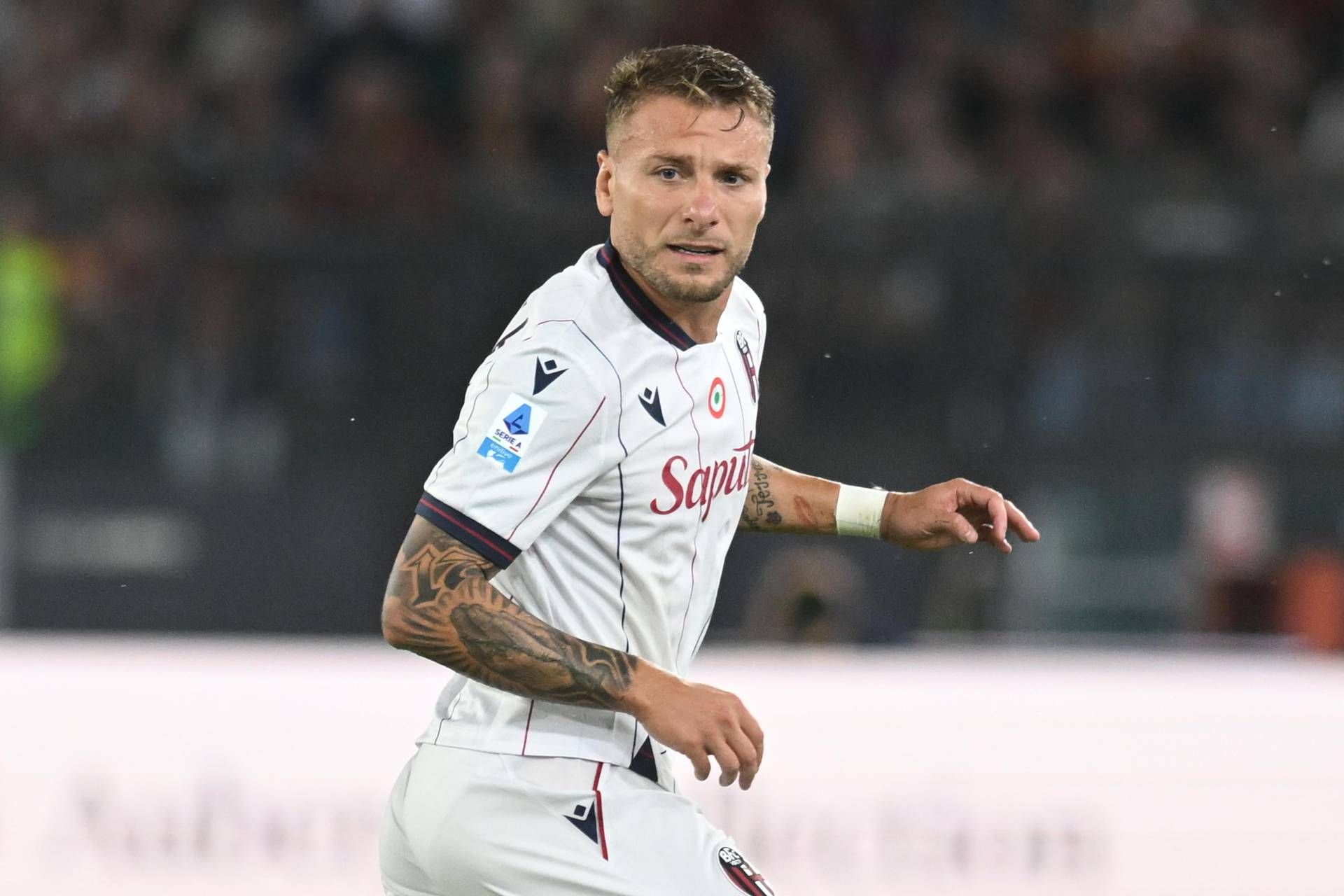 Hellas Verona-Bologna oggi, Serie A. Orario, probabili formazioni e dove vederla in tv Hellas Verona-Bologna oggi, Serie A. Orario, probabili formazioni e dove vederla in tv