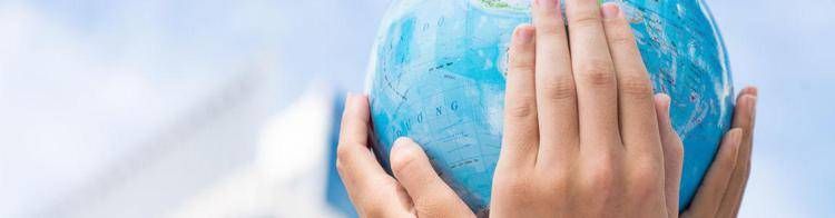 Coordinamento interforze