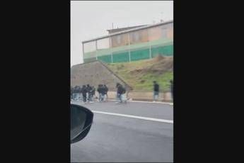 Scontri in autostrada fra tifosi della Fiorentina e della Roma - Video