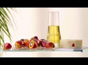 Alimentazione: il ruolo sostenibile dell'olio di palma al Sigep di Rimini