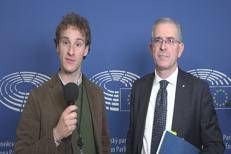 Groenlandia, Trump e Mercosur: Falcone spiega linea popolari tra sovranità, dialogo e commercio - Video