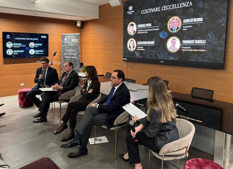 Imprese, Fondazione Cotec: 