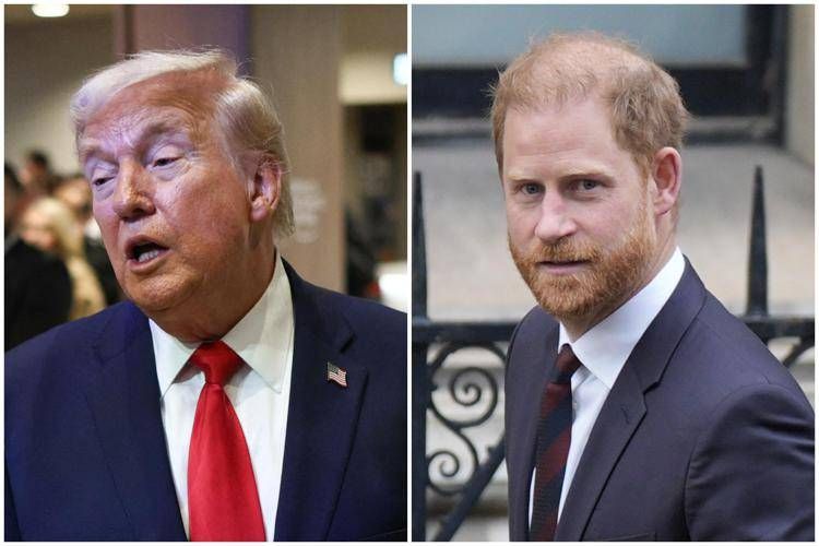Donald Trump e il principe Harry - Ipa