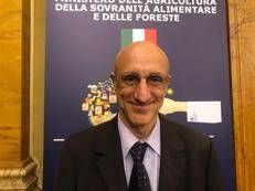 Giuseppe Lucano, direttore marketing del Consorzio di tutela del Miele della Lunigiana Dop