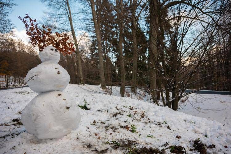Pupazzo di neve - (Ipa)