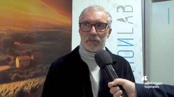 Imprese: Visconti (CamCom), 'con 'Camera del Futuro' meno burocrazia e maggiore sostegno alle imprese