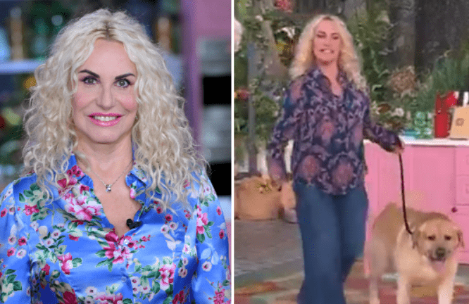 cosa c’entra la figlia Maelle