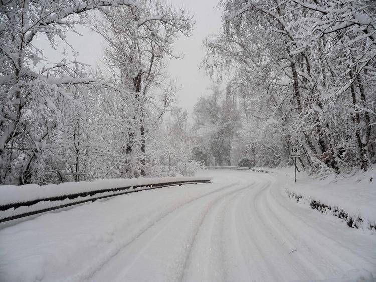Bimbo lasciato a piedi dal bus, autista chiede scusa. Genitori: 